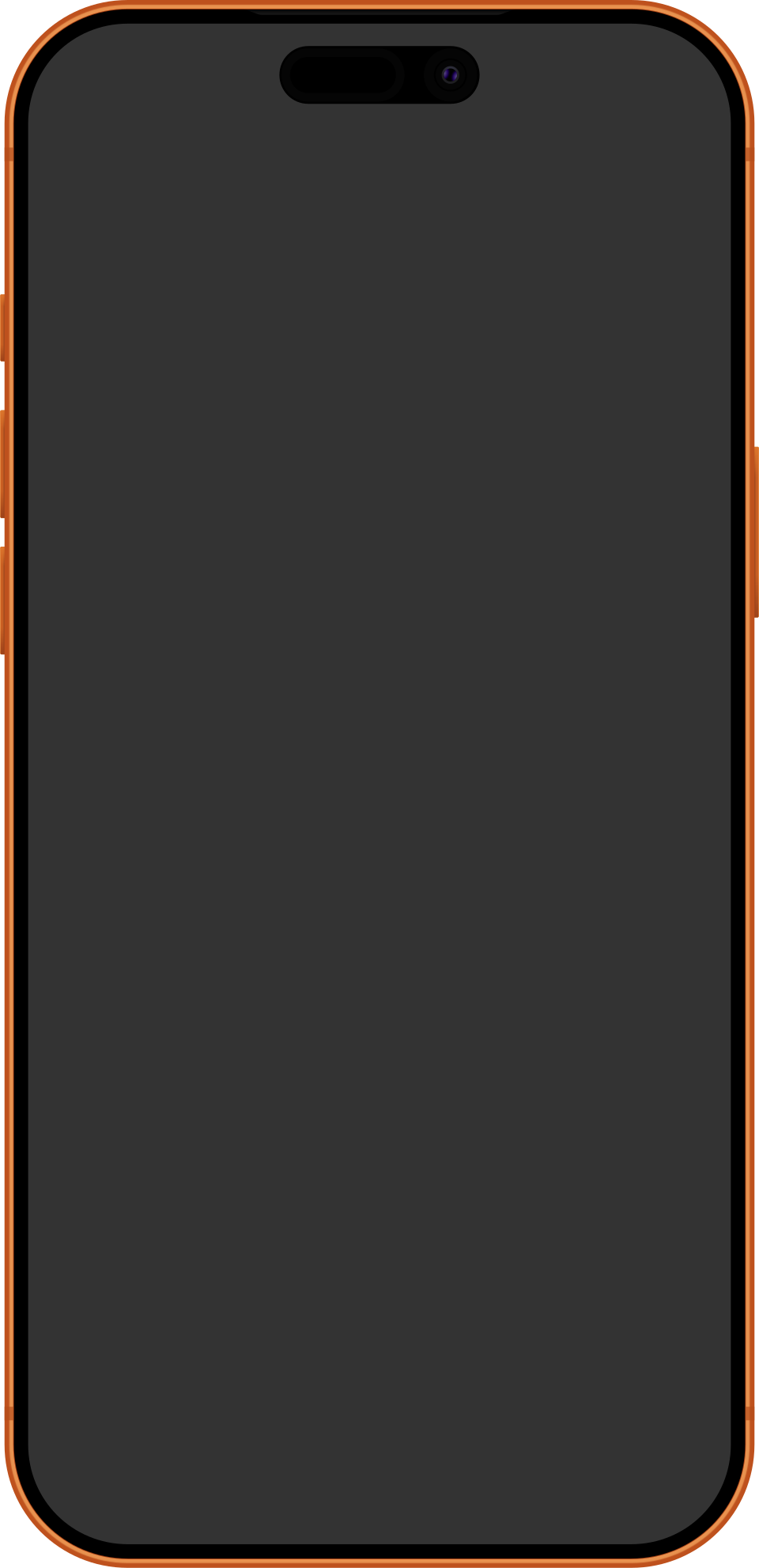 iPhone 17 Pro Max 产品图